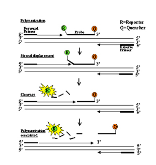 永乐国际·F66(中国游)官方网站